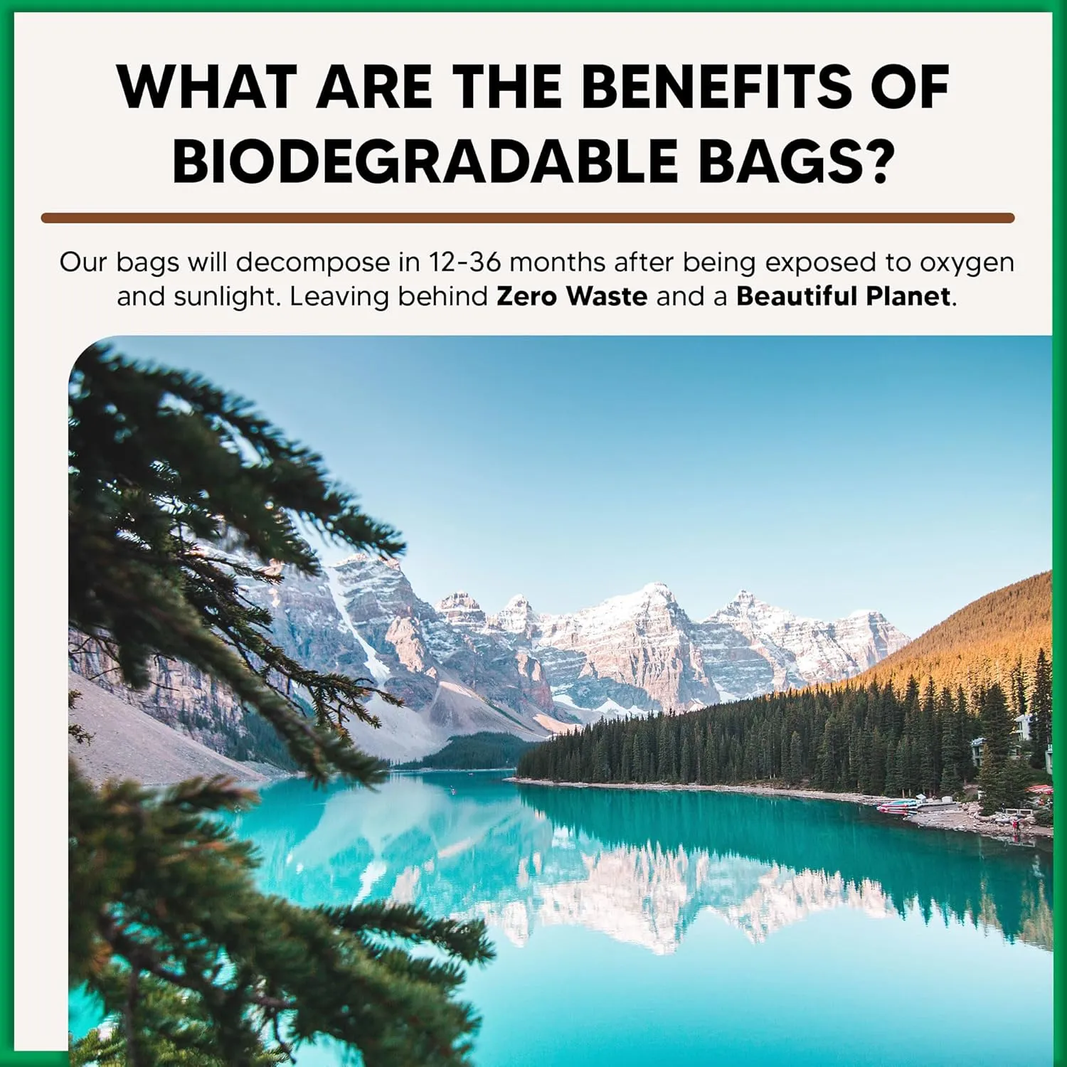 13 Gallon Tall Kitchen Bags, Biodegradable Trash Bags 24"x32"x.95 mil thick ASTM D6954-18, 2 Bag Dispensers 30 Bags (30 Bags With 2 Dispensers)