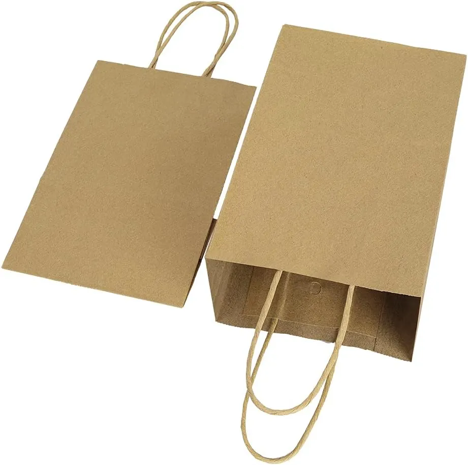 bagmad 100 Pack 5.25x3.25x8 Inch Brown Small Paper Bags with Handles Bulk, Gift Paper Bags, Kraft Birthday Party Favors Grocery Retail Shopping Takeouts Business Craft sacks (Plain Natural 100pcs)