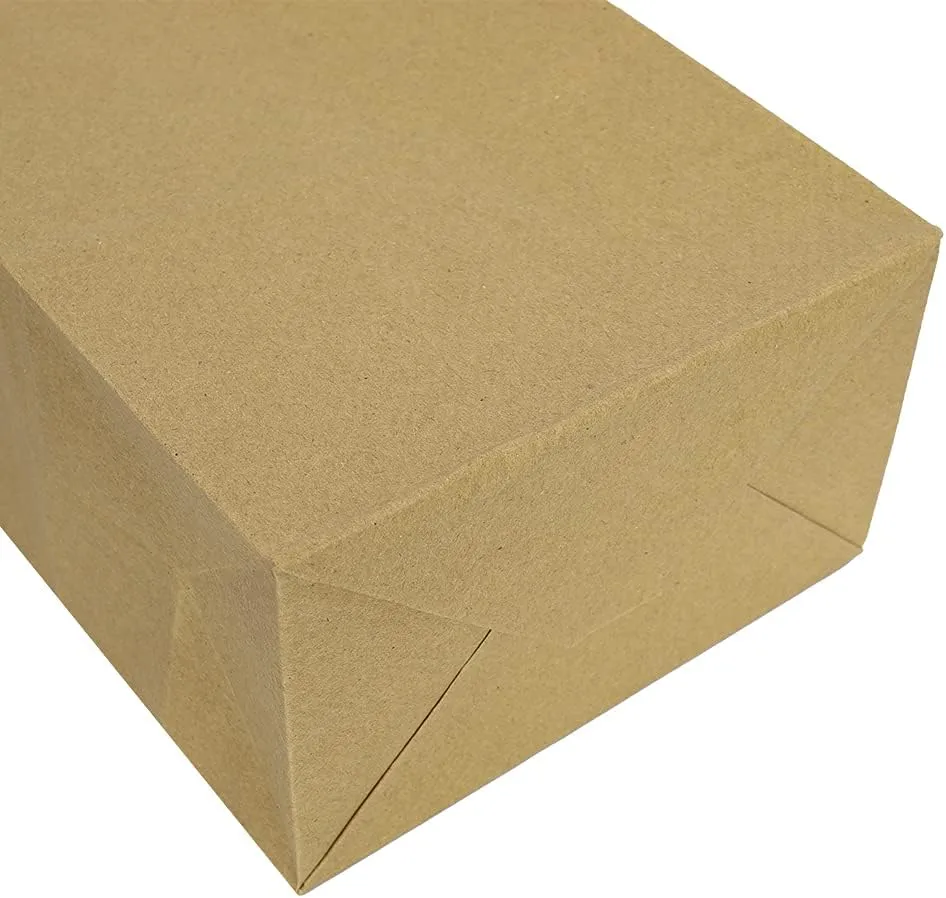 bagmad 100 Pack 5.25x3.25x8 Inch Brown Small Paper Bags with Handles Bulk, Gift Paper Bags, Kraft Birthday Party Favors Grocery Retail Shopping Takeouts Business Craft sacks (Plain Natural 100pcs)