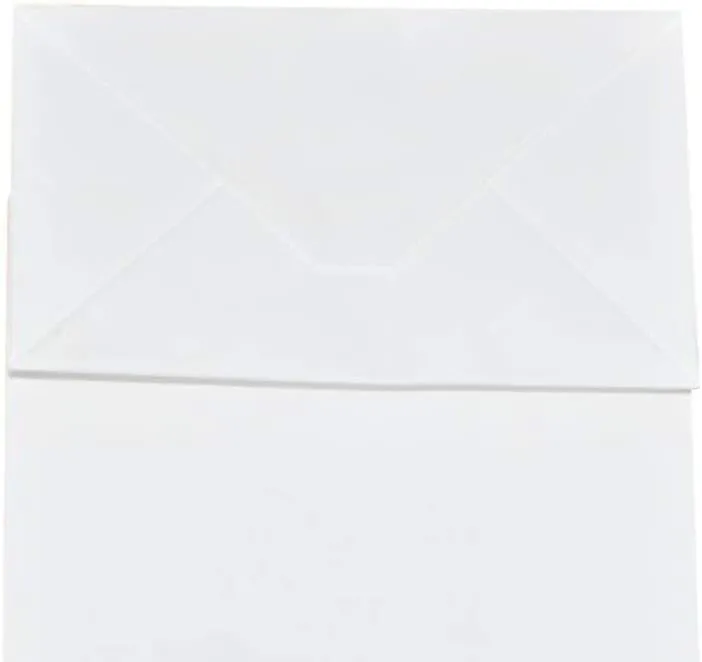 bagmad 100 Pack Sturdy Small White Kraft Paper Bags with Handles Bulk, Gift Bags 5.25x3.25x8 Inch, Craft Grocery Shopping Retail Party Favors Wedding Business Sacks (White, 100pcs)