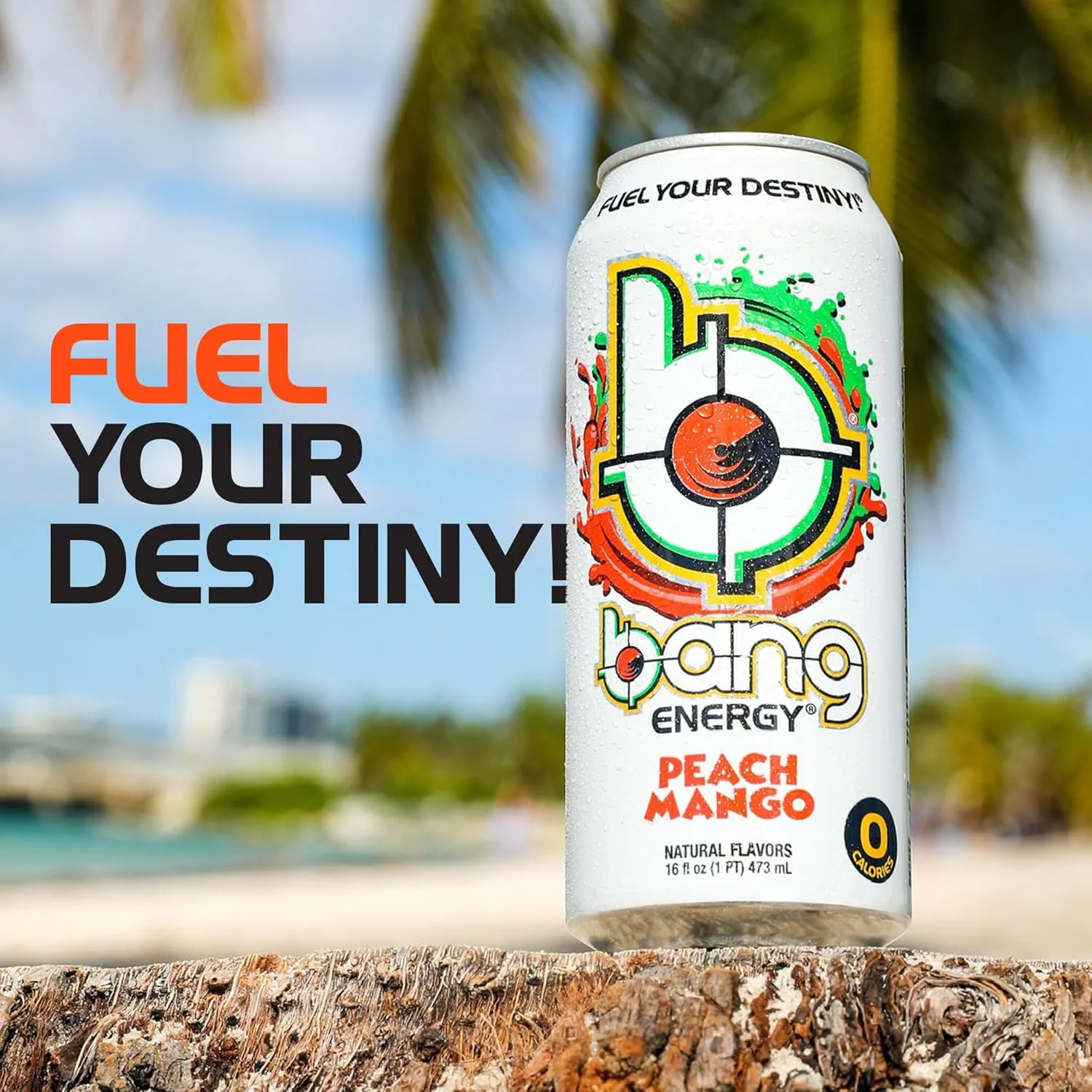 Bang Energy Peach Mango, Sugar-Free Energy Drink, 16-Ounce (Pack of 12)