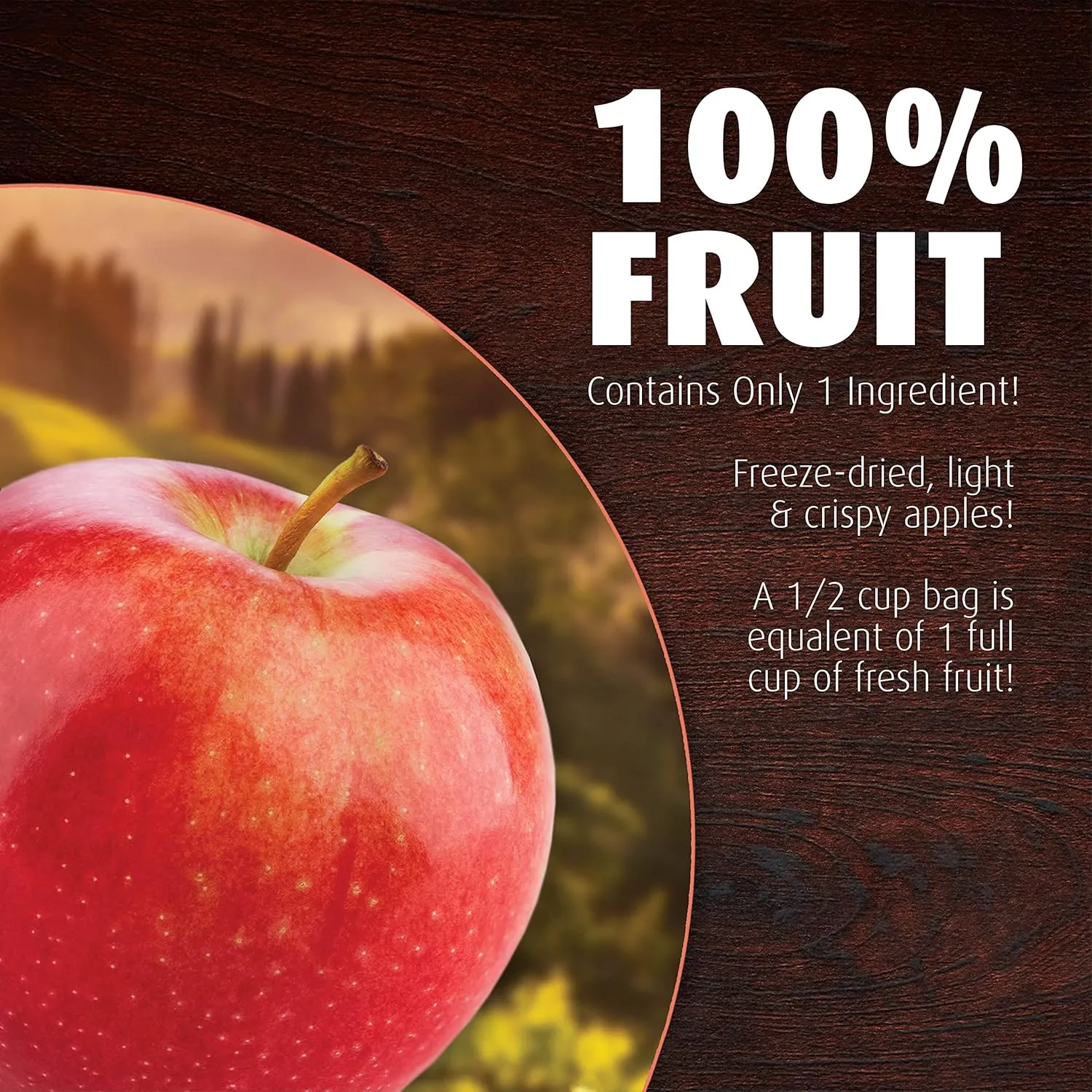 Brothers All Natural Disney Freeze Dried Fruit Crisps, Fuji Apple & Cinnamon, 0.35 Oz (Pack of 12), Made with 100% Fruit, Gluten Free, Soy Free, Vegan, Heathy Snack, Lunch Box Ready