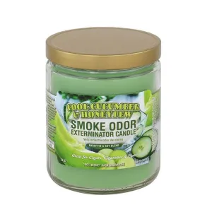 Cool Cucumber and Honeydew Smoke Odor Candle