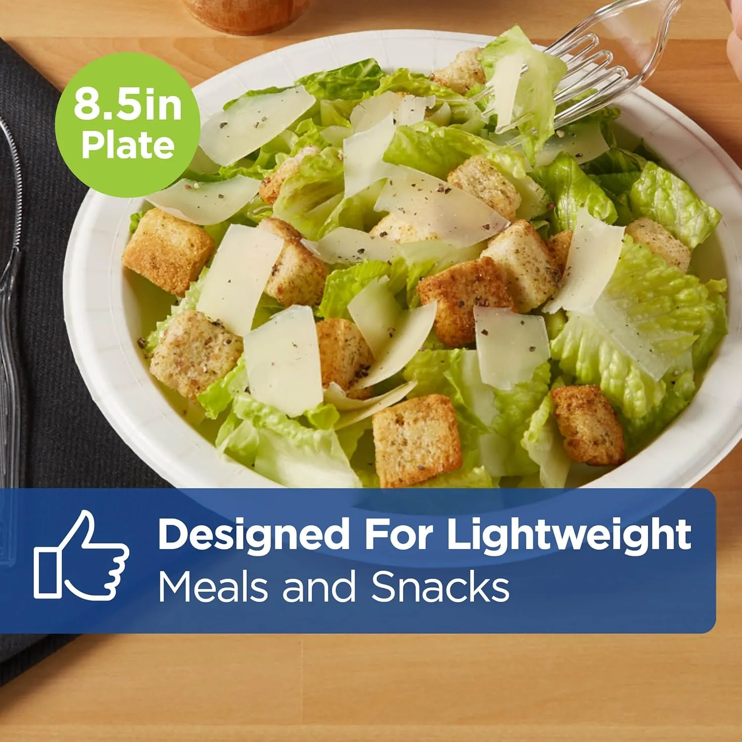 Dixie 8 1/2 Inch Light-Weight Disposable Paper Plates, White, 500 Count, Bulk Case, 4 Packs/125 Count Per Pack, (Georgia-Pacific #DBP09W)