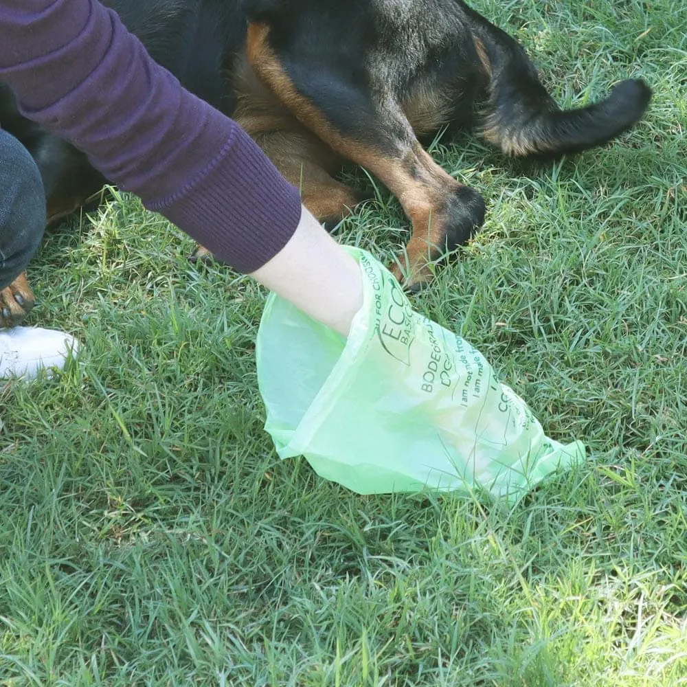 Eco Basics Biodegradable Doggy Bags 2 Rolls, 30 Bags