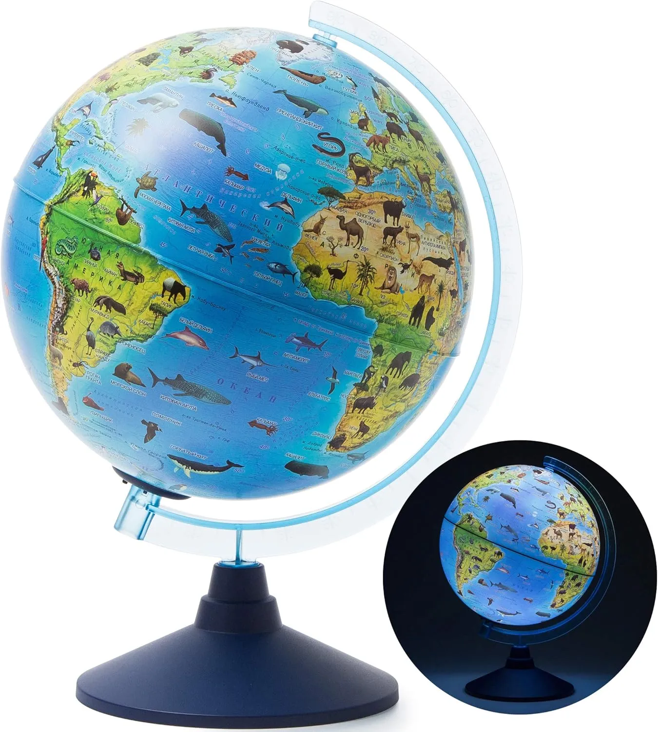 Exerz 25CM Zoo-Geo Illuminated Globe with Cable Free LED Light/ 2 in 1/ Day and Night - English Map - Physical and Zoo Dual Map - Light up Globe - Educational and Fun, for School, Children, Family
