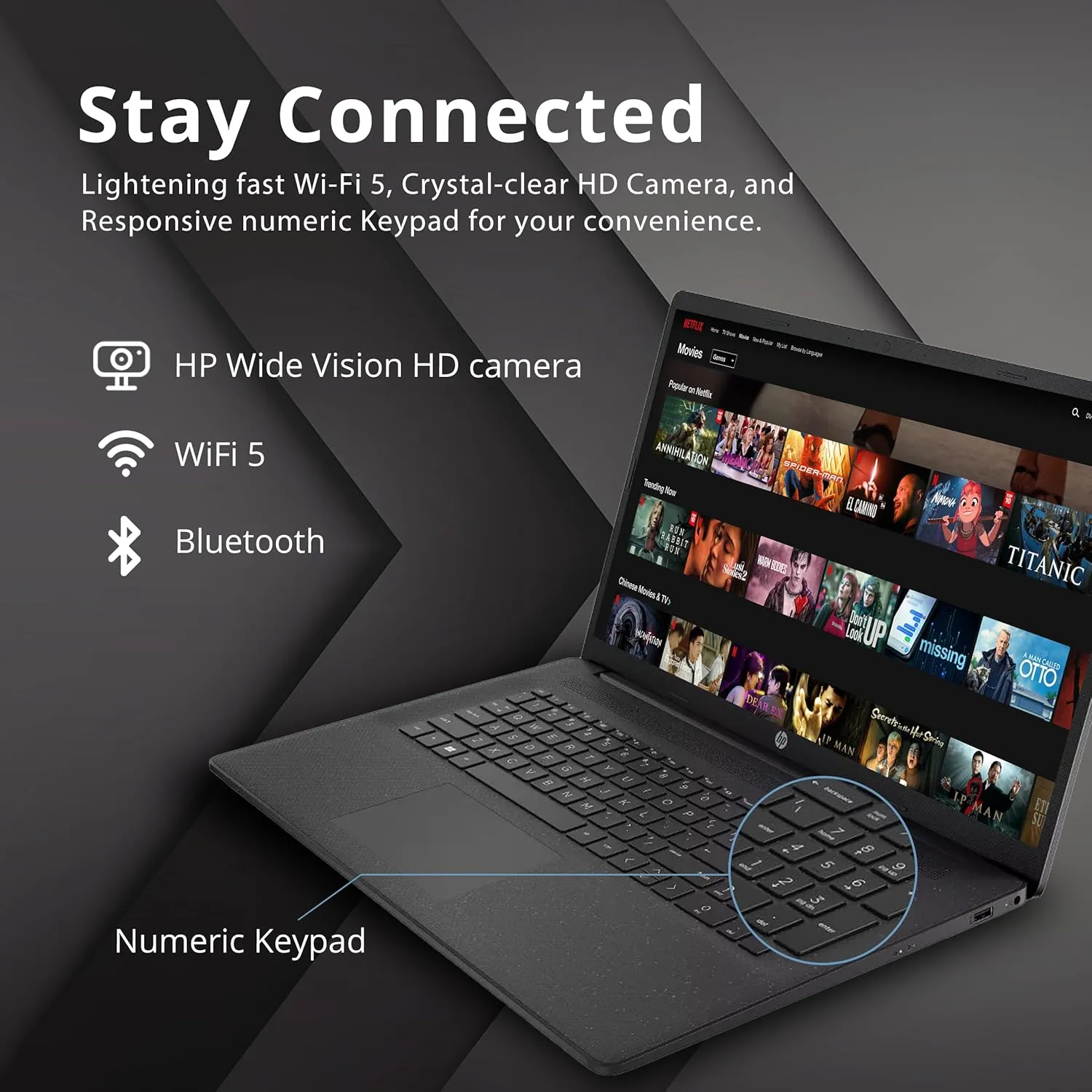 HP 17.3" HD  Business Laptop, Intel Core i5-1235U, 32GB RAM, 1TB PCIe SSD, Intel Iris Xe Graphics, Number Pad, Wi-Fi, Bluetooth, HDMI, Win 11 Pro, Black, 32GB Hotface USB Card