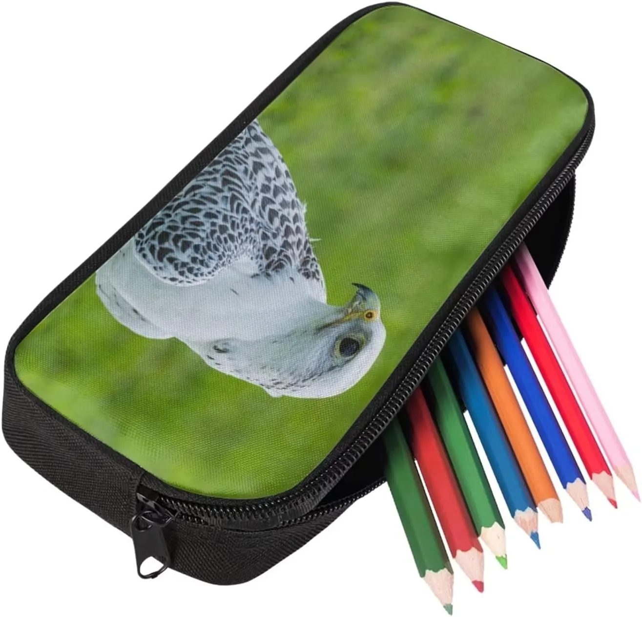 Kids Novelty Animal Backpack and Lunch Box for Boys Girls Student Lightweight 17 Inch School Bird Gyrfalcon Backpack with Lunch Bag Pencil Case Kids Comfy Padded Black Large Bookbag
