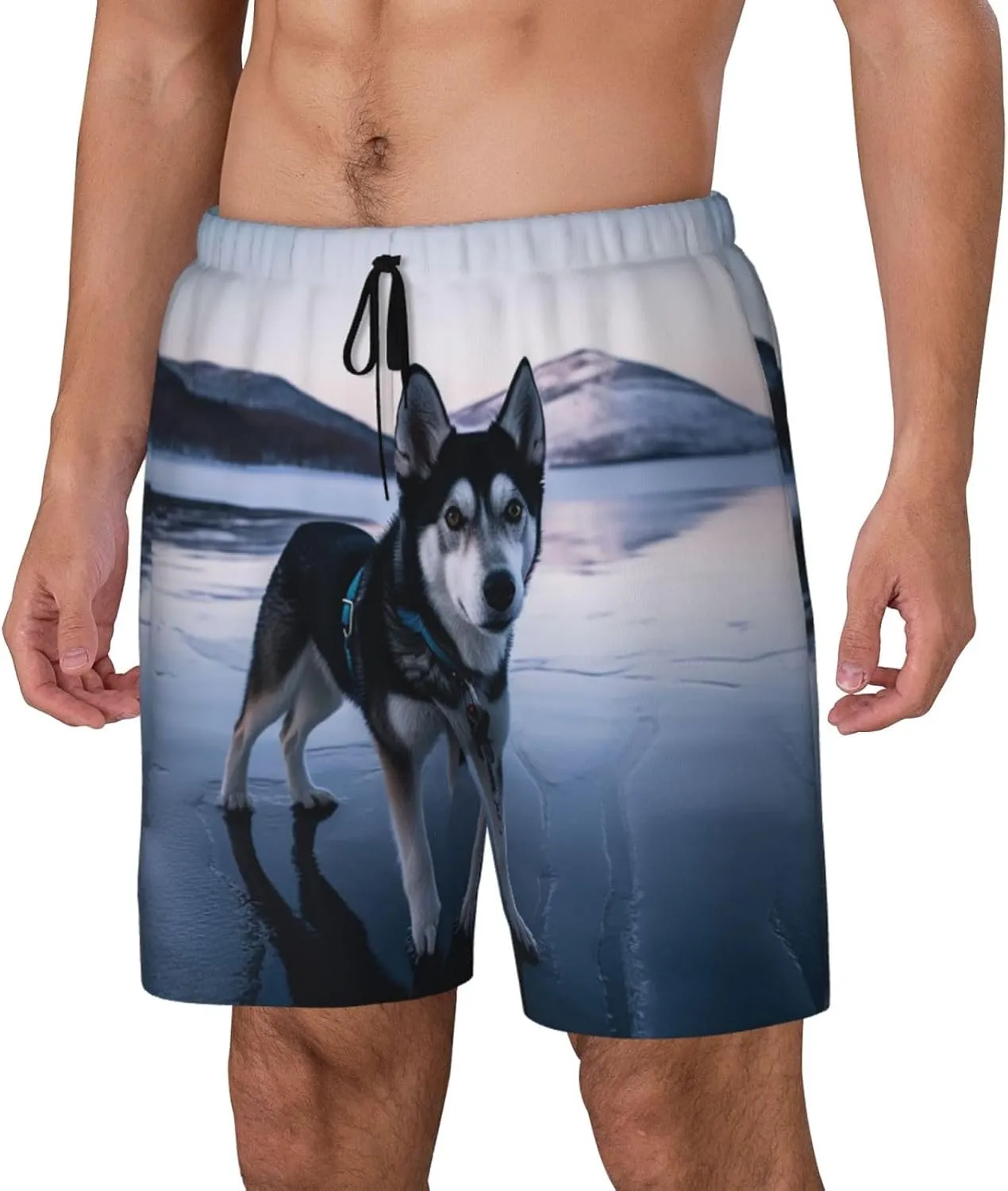 Men's Swim Trunks Quick Dry Board Shorts Drawstring Beach Short Husky Dog on a Frozen Lake Bathing Suit for Men