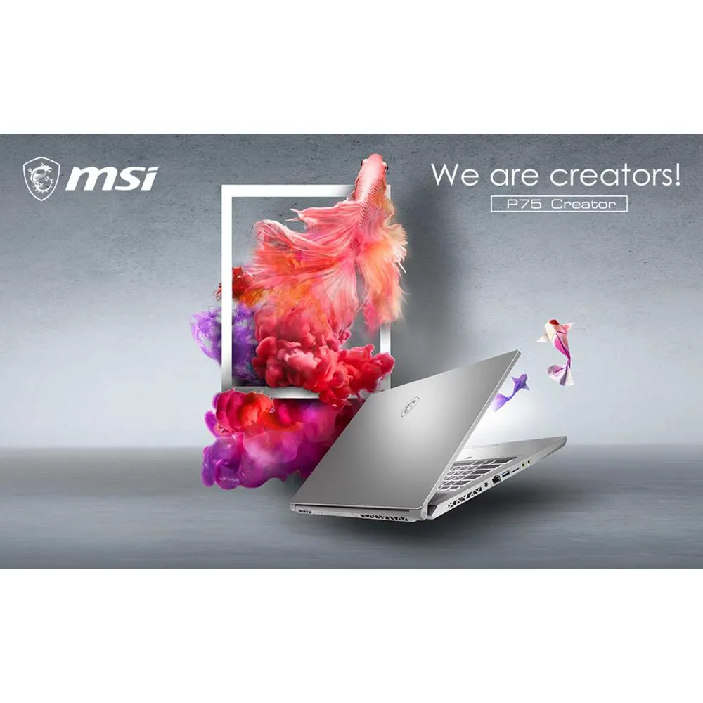 MSI P75 Creator 893 17.3" NB