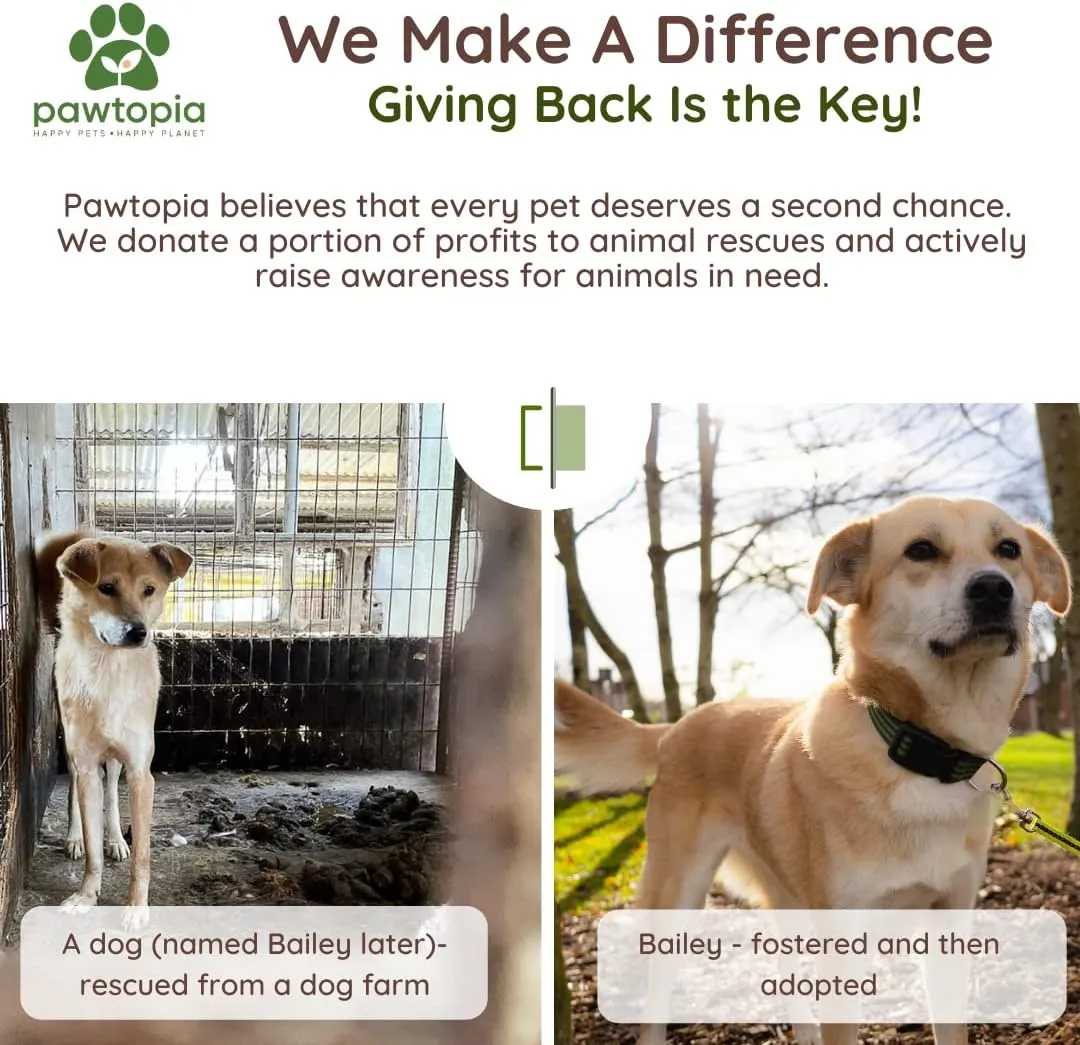 Pawtria Certified Home Compostable Dog Poop Bags (120 Bags), Biodegradable Poop Bags for Dogs, Cat Litter, Vegetable Starches, Eco-friendly Dog Waste Bags, Leakproof, Easy to Open, Give Back