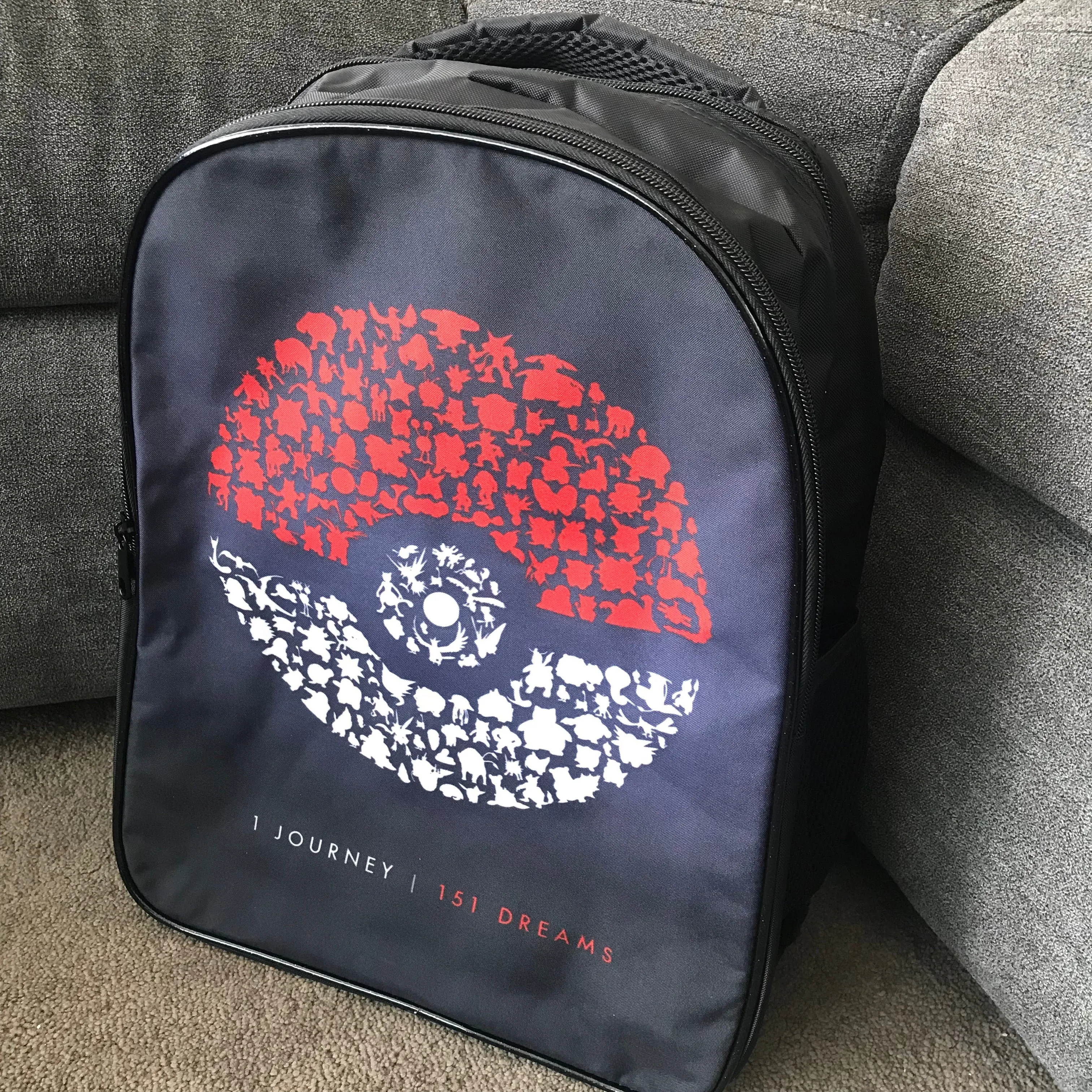 Pokemon School Bag
