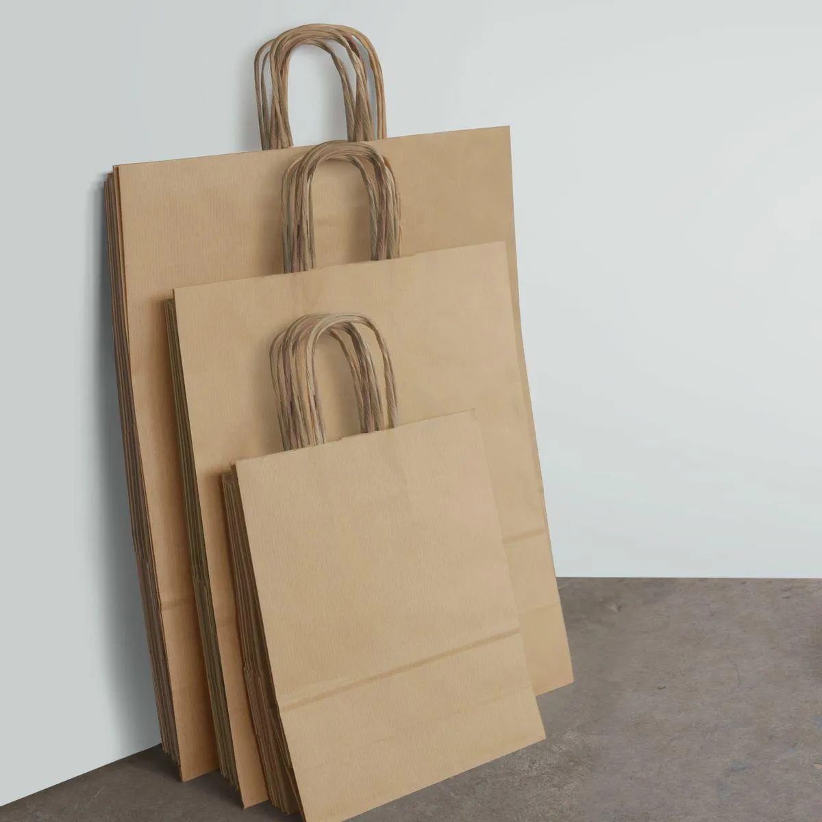 Ribbed kraft paper bag with twist handles