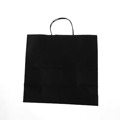 Saving Nature Black Paper Retail Bag - with Handles - 12 1/2" x 6 1/4" x 12 1/4" - 100 count box