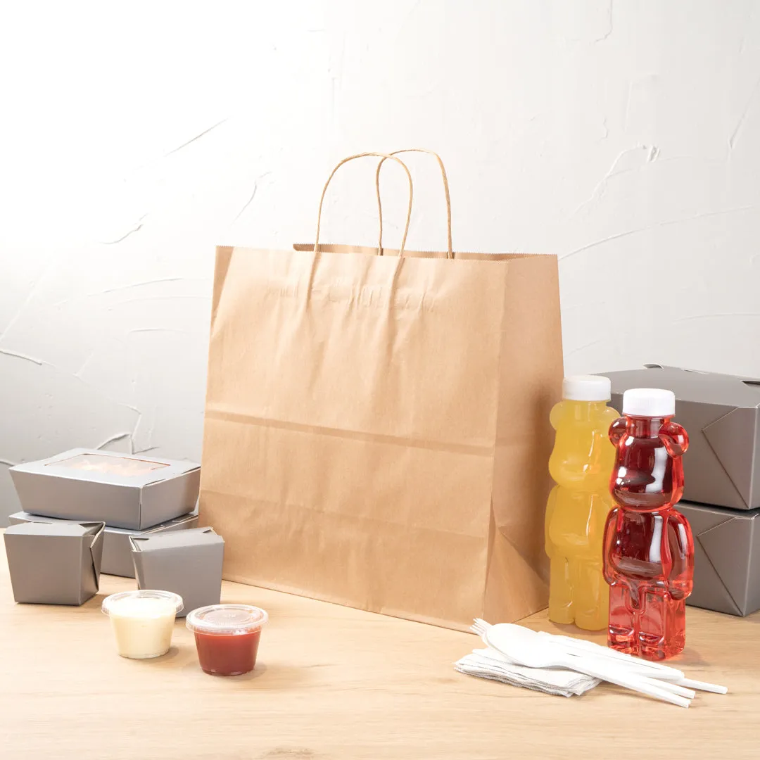 Saving Nature Kraft Paper Retail Bag - with Handles - 12 1/2" x 6 1/4" x 12 1/4" - 100 count box