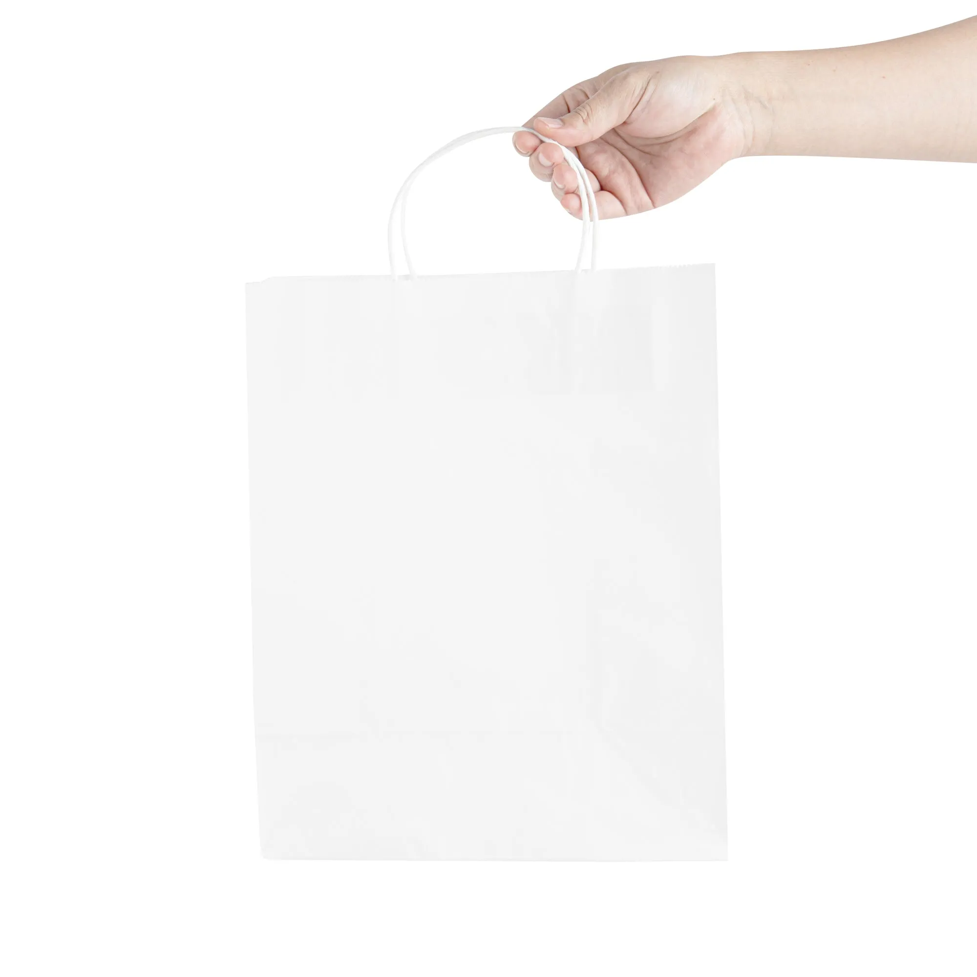 Saving Nature White Paper Retail Bag - with Handles - 10 1/4" x 5 1/2" x 12 1/2" - 100 count box