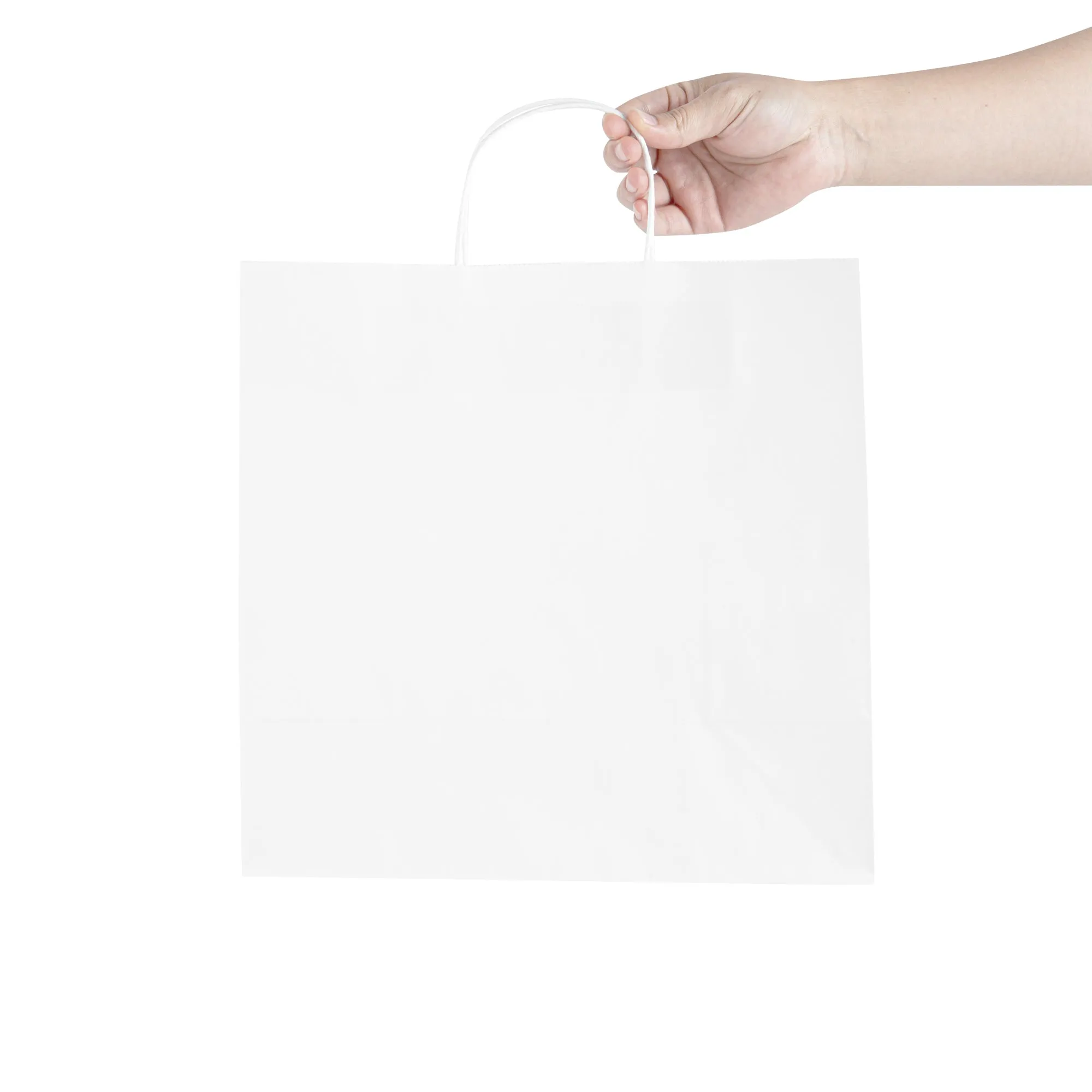 Saving Nature White Paper Retail Bag - with Handles - 12 1/2" x 6 1/4" x 12 1/4" - 100 count box