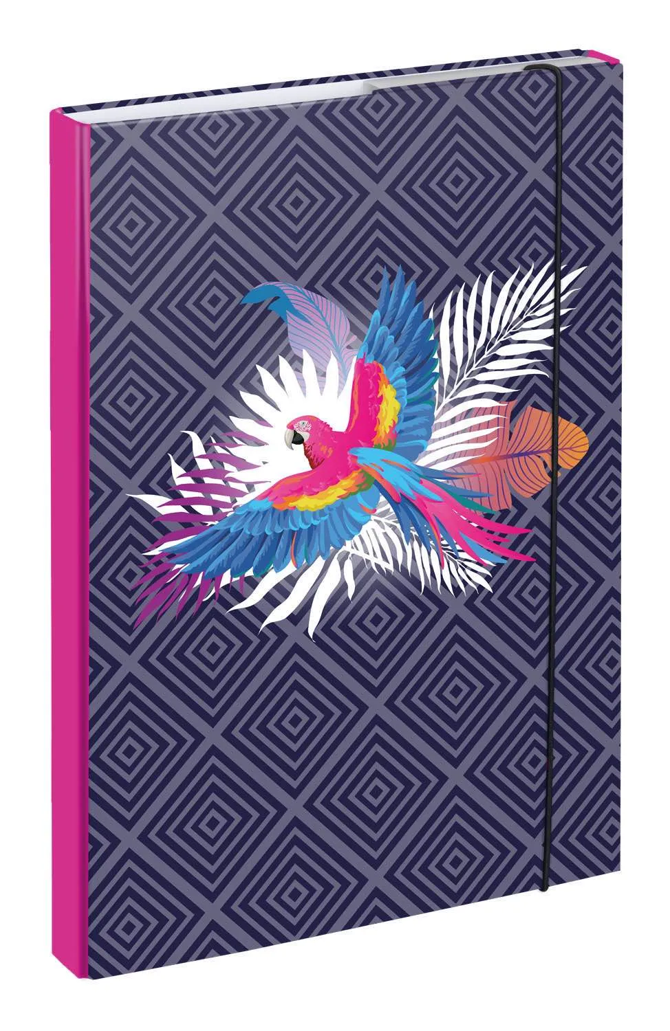 School set Parrot II