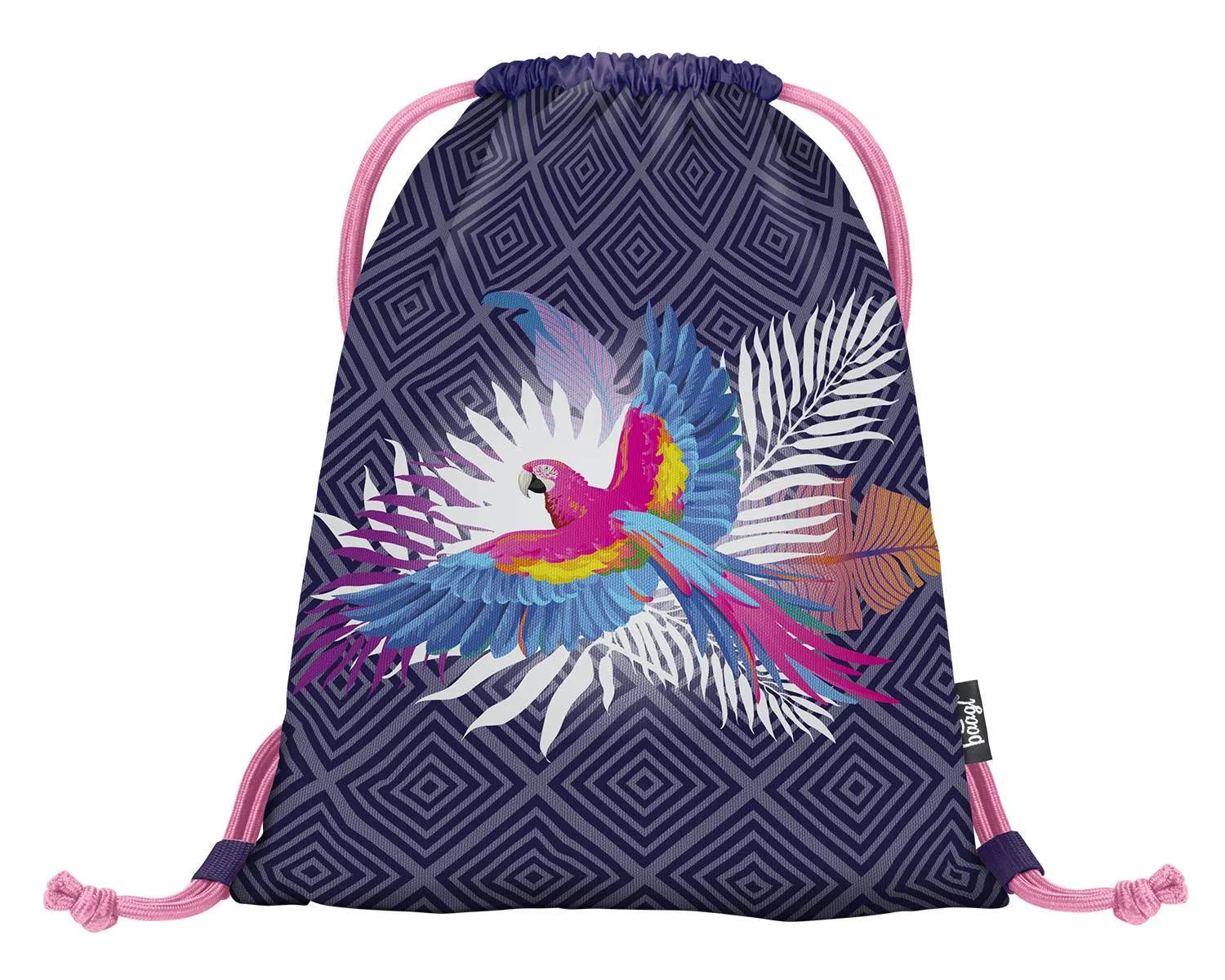 School set Parrot II