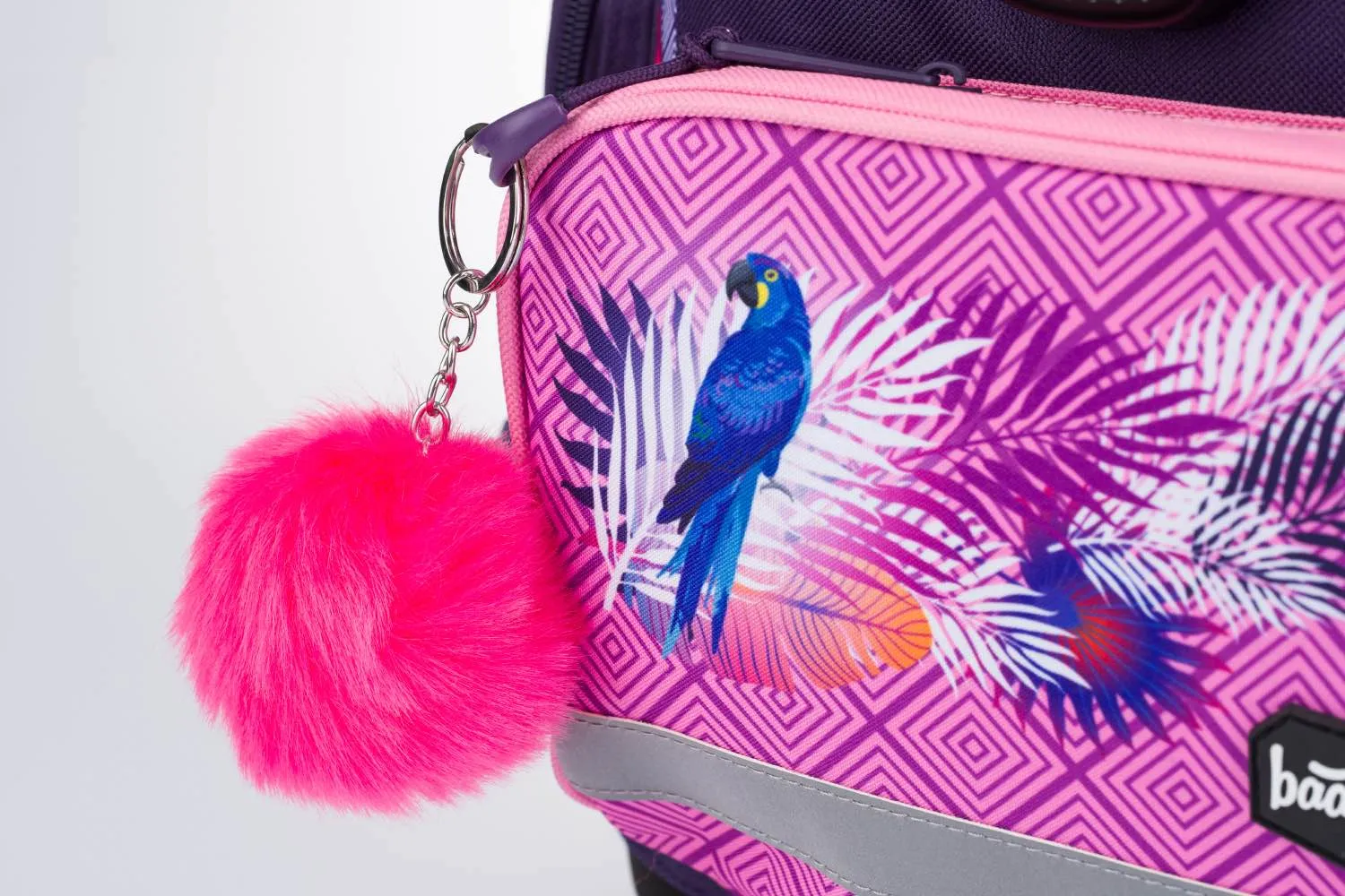 School set Parrot II