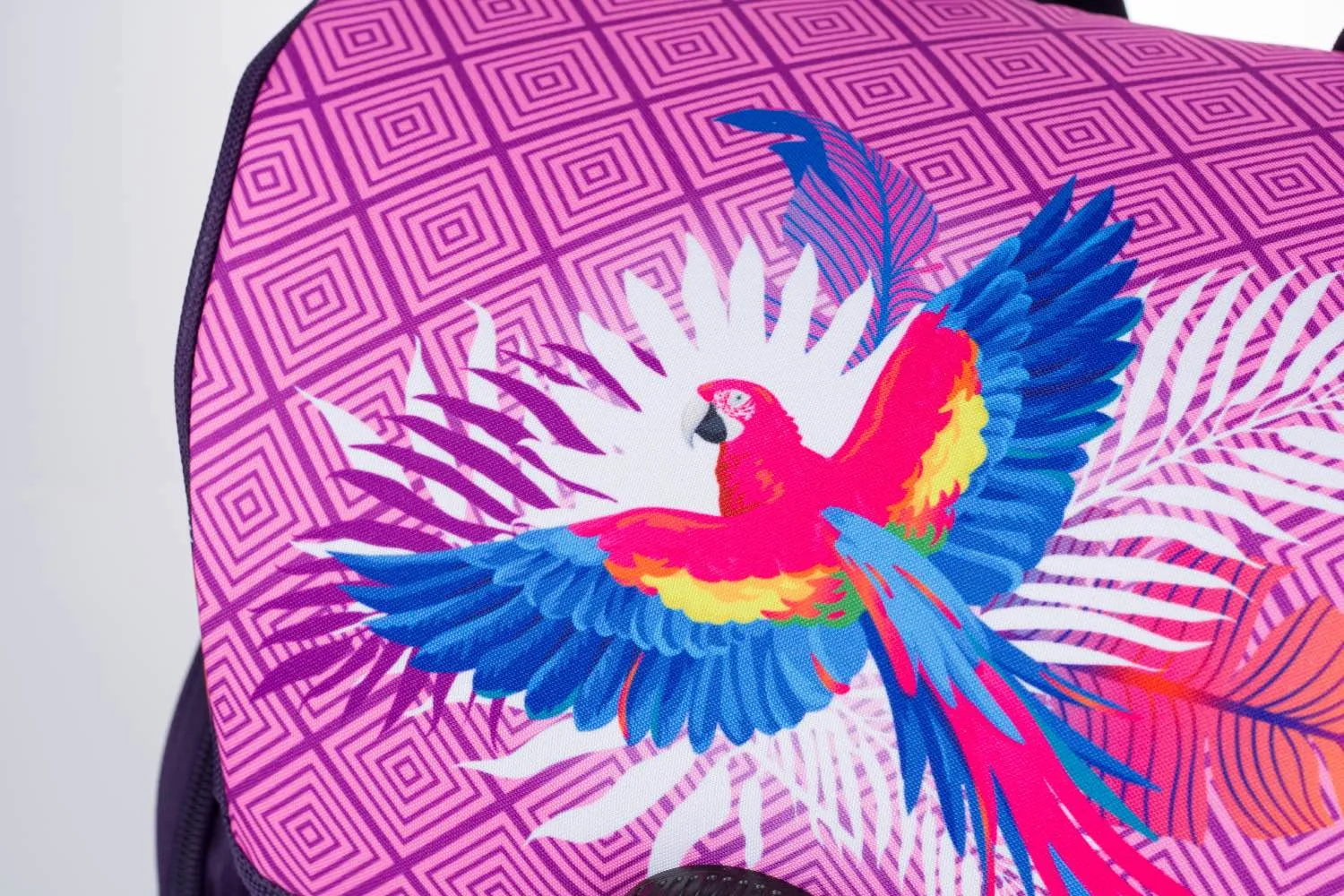 School set Parrot II