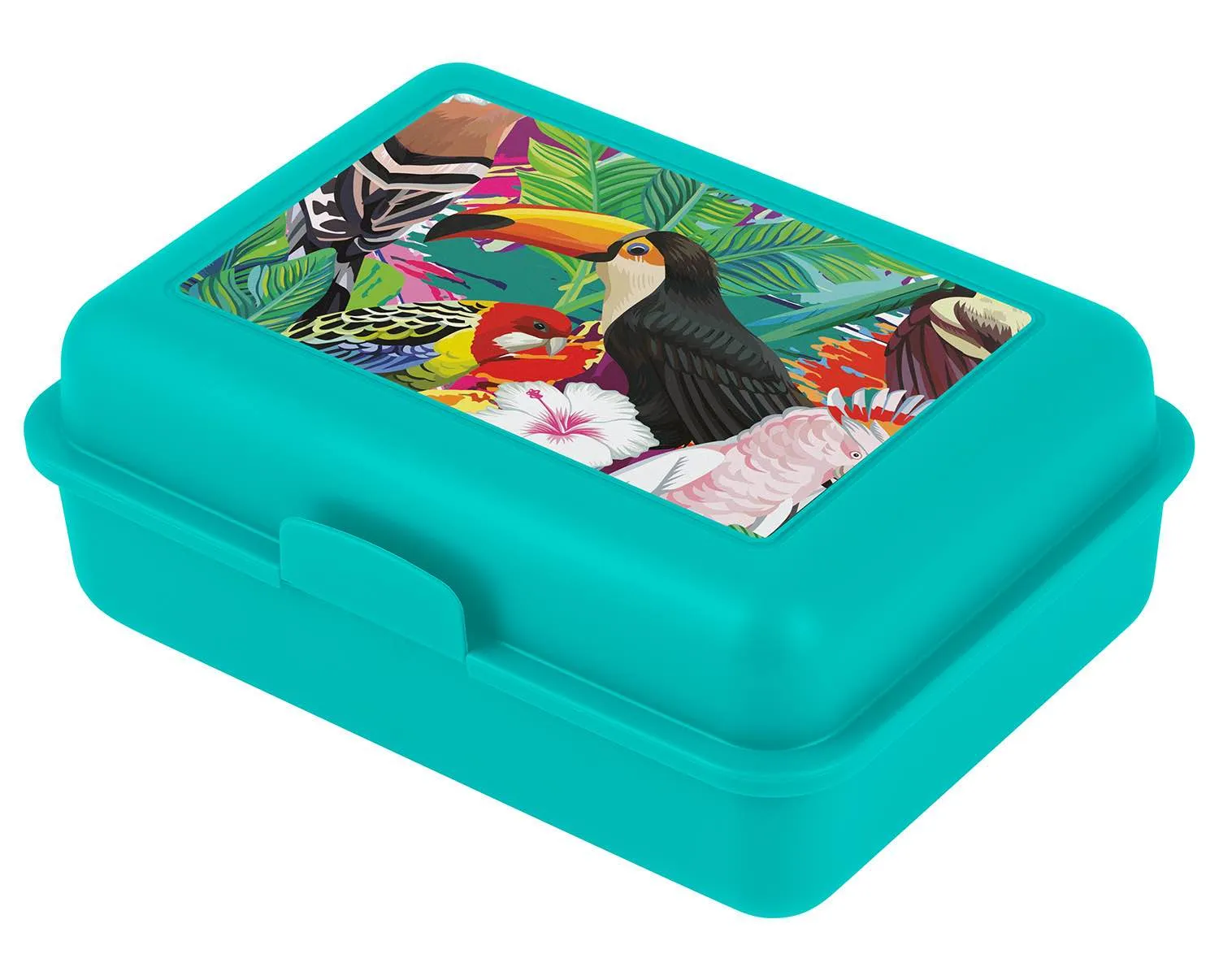 School set Shelly Toucan II