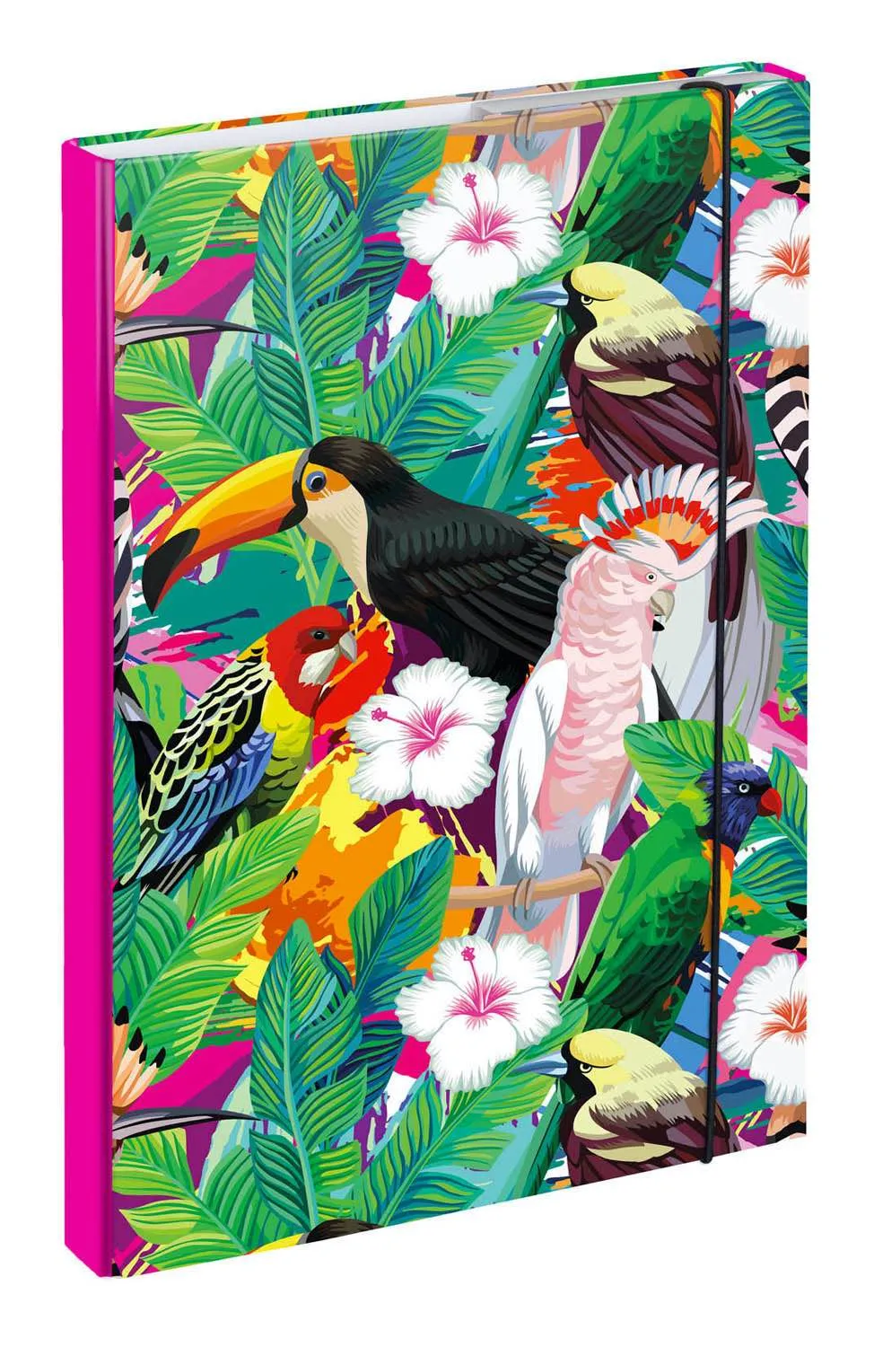 School set Shelly Toucan II