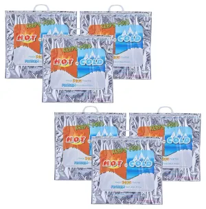 Superio Hot and Cold Insulated Bags for Food Delivery, Grocery Shopping Bags, Food Storage for Hot and Frozen Food for Travel, Disposable Cooler Bag, Reinforced Thermal Lunch Bag (6, 20" x 19")