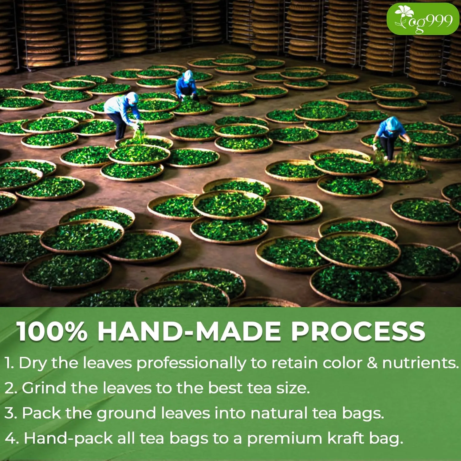 TOG999, Premium 120 Moringa Leaf Tea Bags, 100% Natural & Pure from Moringa Leaves. Loose Leaf Moringa Herbal Tea. Moringa Leaf Tea. No Sugar, No Caffeine, No Gluten, Vegan.